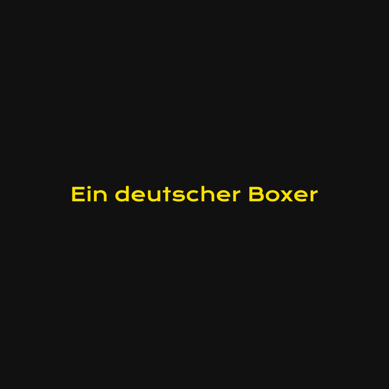 ein-deutscher-boxer1