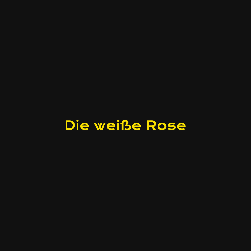 ￼￼Die weiße Rose